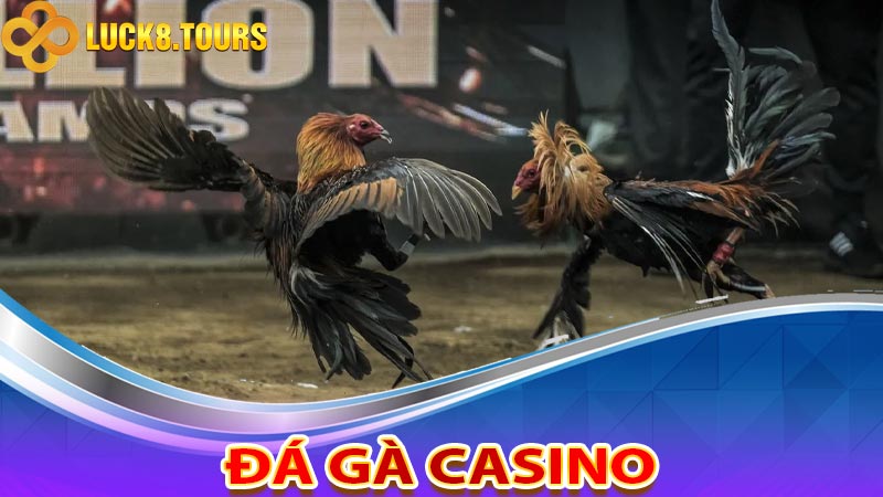 Đá Gà Casino